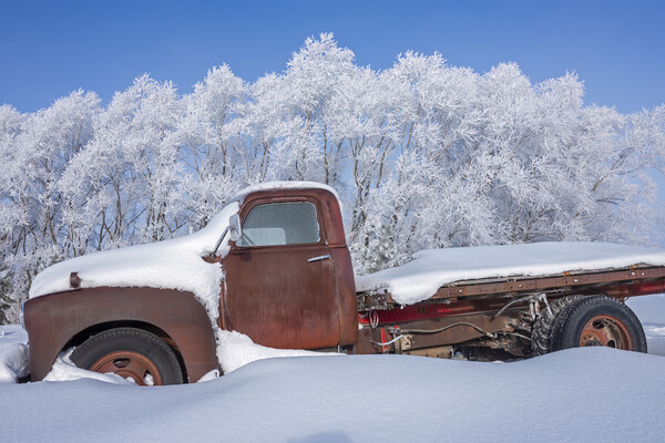 old truck in the snow Picture Board by Dave Reede