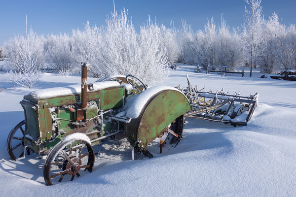 old tractor, hoarfrost on trees Picture Board by Dave Reede
