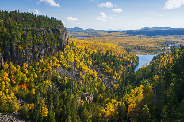 autumn, Ouimet Canyon Picture Board by Dave Reede