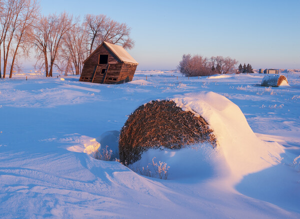 snow drifts, old grain bins with alfalfa bale in the foreground Picture Board by Dave Reede