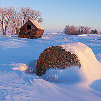 Buy canvas prints of snow drifts, old grain bins with alfalfa bale in the foreground by Dave Reede