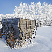 Buy canvas prints of Wagon on a frosty day by Dave Reede