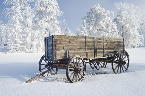 old wagon  Picture Board by Dave Reede