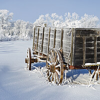 Buy canvas prints of Wagon in the hoarfrost by Dave Reede