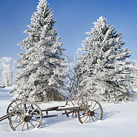 Buy canvas prints of old wagon, hoarfrost on trees by Dave Reede
