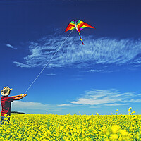 Buy canvas prints of a farm girl flies a kite in a blooming canola field by Dave Reede