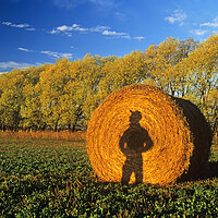 Buy canvas prints of a shadow of a farmer  looking out over his alfalfa field by Dave Reede