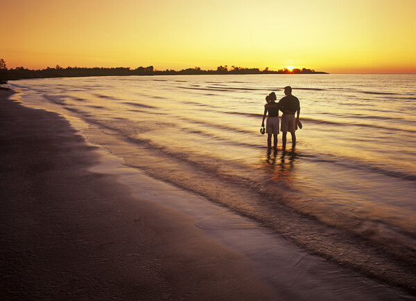 couple along beach at sunset Picture Board by Dave Reede