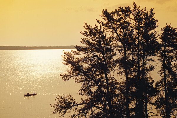 canoeing across Big Whiteshell Lake Picture Board by Dave Reede