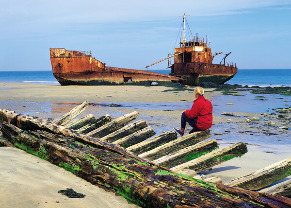 woman sitting on remains of wooden shipwreck viewing shipwreck Picture Board by Dave Reede