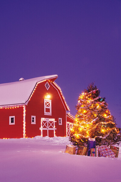 Rural Christmas Picture Board by Dave Reede