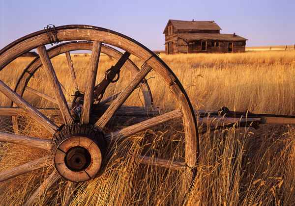 Homestead on the Prairies Picture Board by Dave Reede