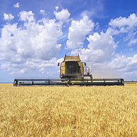 Buy canvas prints of barley harvest by Dave Reede