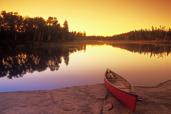 canoe along the Whiteshell River Picture Board by Dave Reede