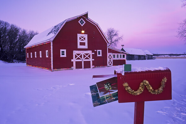 Christmas on the Farm Picture Board by Dave Reede