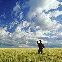 Buy canvas prints of a man looks out over a barley field and sky with clouds by Dave Reede