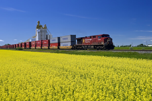 rail cars carrying containers pass a canola field and inland grain terminal Picture Board by Dave Reede