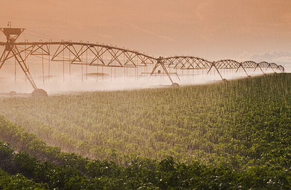 center pivot irrigation system Picture Board by Dave Reede