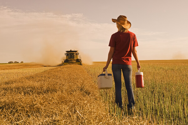 farm girl brings supper to a combine operator  Picture Board by Dave Reede