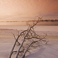 Buy canvas prints of winter along the Winnipeg River by Dave Reede