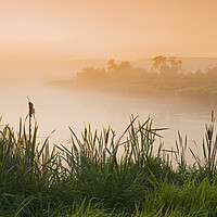 Buy canvas prints of morning along the Qu´Appelle  River by Dave Reede