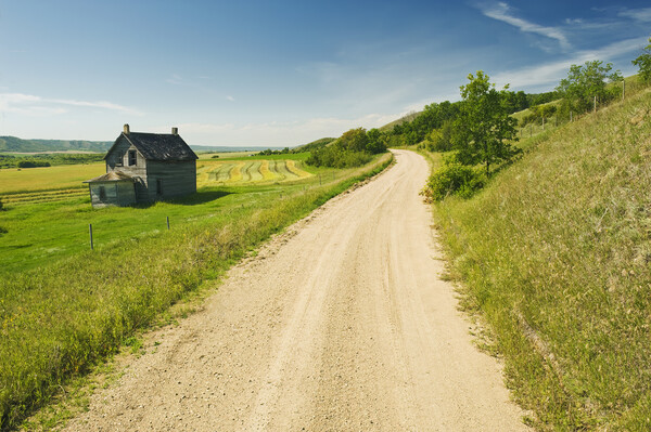 country backroad  though hills Picture Board by Dave Reede