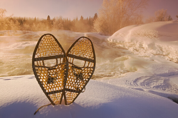 close-up of snowshoes Picture Board by Dave Reede