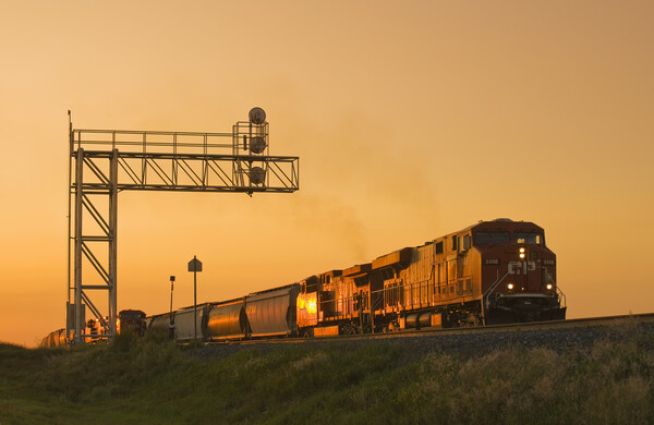 locomotives pulling rail hopper cars pass an overhead rail signal Picture Board by Dave Reede