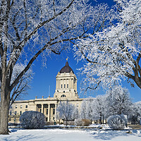 Buy canvas prints of hoarfrost on trees with Manitoba Legislative Building in the background by Dave Reede