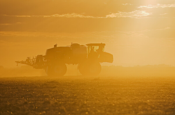 a high clearance sprayer applies liquid fertilizer Picture Board by Dave Reede