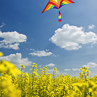 Buy canvas prints of kite over field by Dave Reede