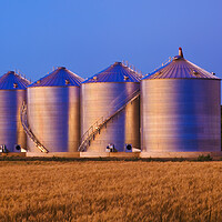Buy canvas prints of field of mature wheat/new grain bins by Dave Reede
