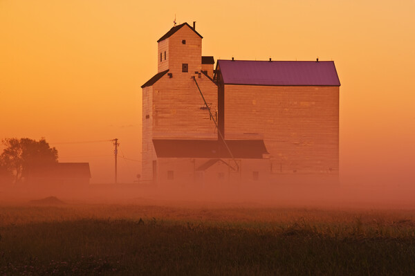 grain elevator in early morning mist Picture Board by Dave Reede