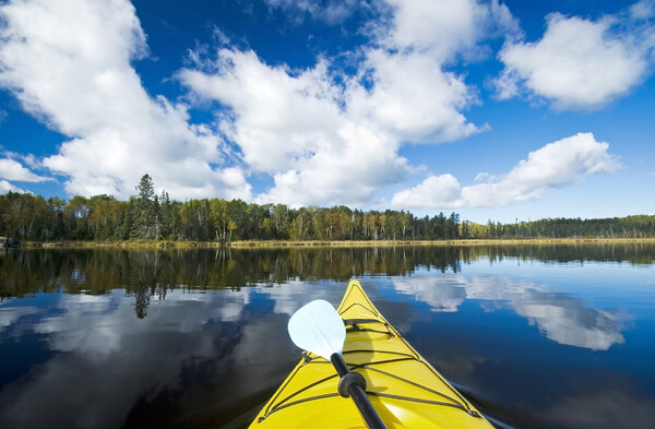 Kayaking on Bunny lake Picture Board by Dave Reede