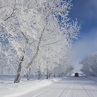 Buy canvas prints of  snow covered road by Dave Reede