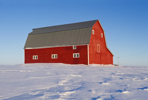 red barn  Picture Board by Dave Reede