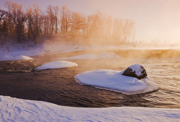 winter along the Whiteshell River Picture Board by Dave Reede