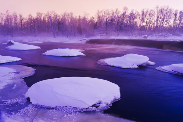 winter along the Whiteshell River at Rainbow Falls Picture Board by Dave Reede