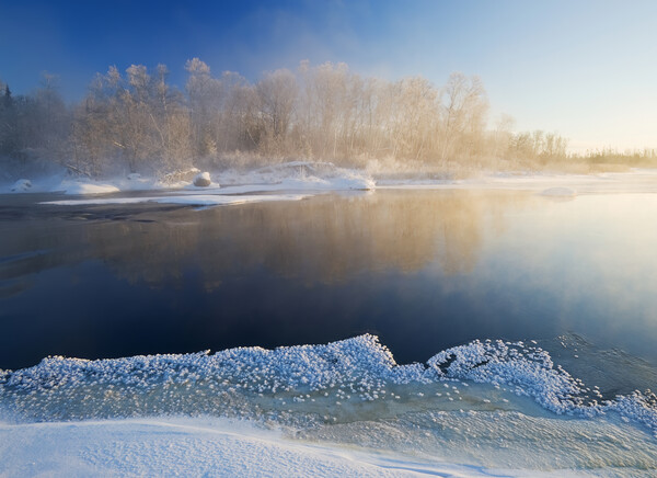 winter along the Whiteshell River Picture Board by Dave Reede