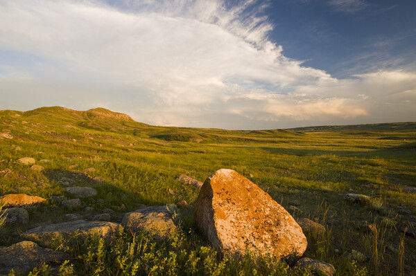 Grasslands National Park Picture Board by Dave Reede