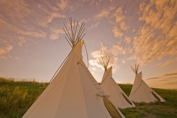 Tipis at Sunset Picture Board by Dave Reede