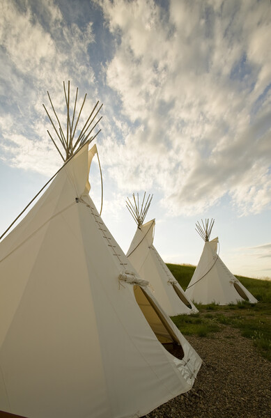 Tipis Picture Board by Dave Reede