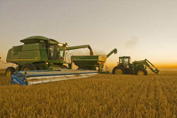 a combine unloads barley in to a grain wagon on the go Picture Board by Dave Reede
