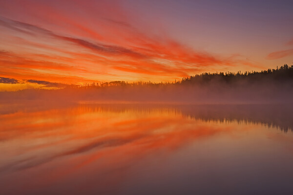 Sunrise Over Northern lake Picture Board by Dave Reede