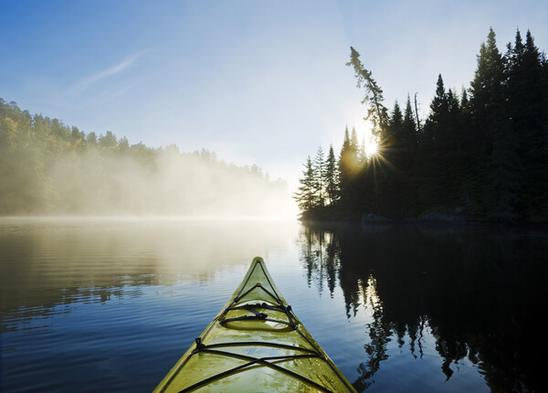 Early Morning Kayak Picture Board by Dave Reede