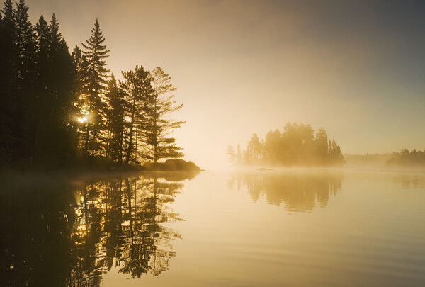 Mist Over Blindfold Lake Picture Board by Dave Reede