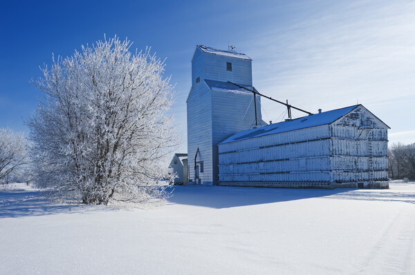 old grain elevator Picture Board by Dave Reede