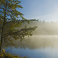 Buy canvas prints of Morning Lake View by Dave Reede