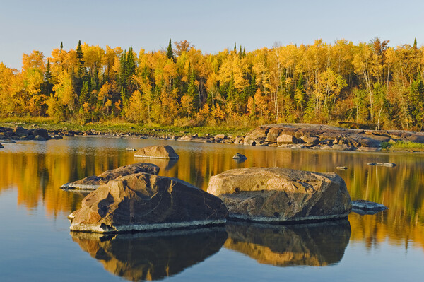 precambrian shield rock along the Winnipeg River Picture Board by Dave Reede