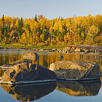Buy canvas prints of precambrian shield rock along the Winnipeg River by Dave Reede